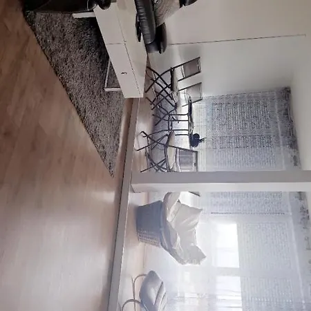 Richmann Apartment *